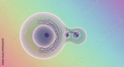 Dynamic cellular division process rendered in 3D, illustrating fundamental life mechanisms and