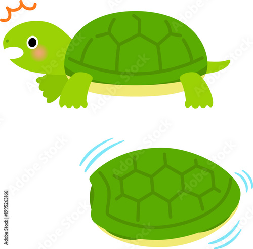 甲羅の中に引っ込む亀のキャラクター