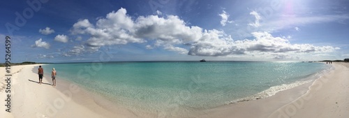 panoramic view of the beach of tortuga island in  Venezuela