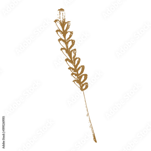 Hand drawn cereal wheat oat rye barley rice ears spikelet clipart Organic wheat bread agriculture farming harvest healthy food Single element for print packaging label design decor