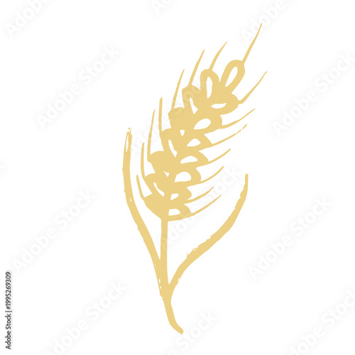 Hand drawn cereal wheat oat rye barley rice ears spikelet clipart Organic wheat bread agriculture farming harvest healthy food Single element for print packaging label design decor