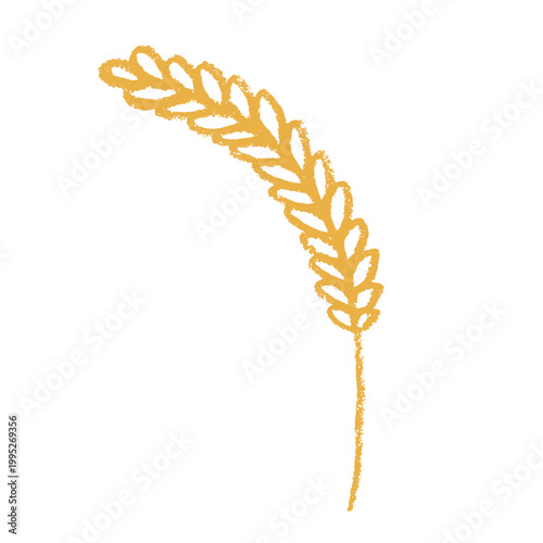 Hand drawn cereal wheat oat rye barley rice ears spikelet clipart Organic wheat bread agriculture farming harvest healthy food Single element for print packaging label design decor