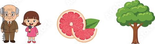 Cartoon grandfather and girl characters, grapefruit fruit and tree illustration set, family, healthy food and nature themed vector collection design