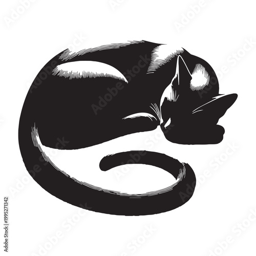Elegant Cat Silhouette Graceful Feline Shadow Minimalist Black Outline Cute Kitty Shape Mysterious Night Cat Artistic Design Pet Lover Aesthetic Calm Quiet Animal Icon Smooth Curves Modern Style.