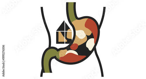 Human Stomach Anatomy Illustration.