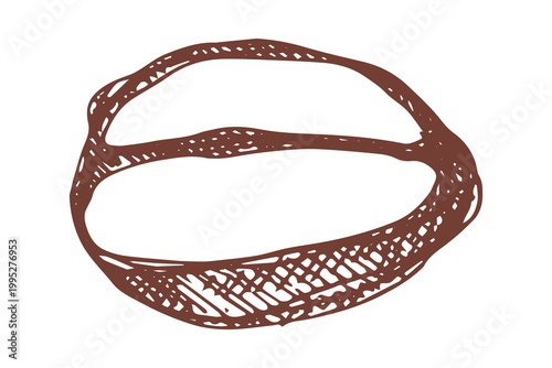 Hand drawn fresh roasted coffee bean Arabica robusta seed doodle Single element for print, web, design, decor