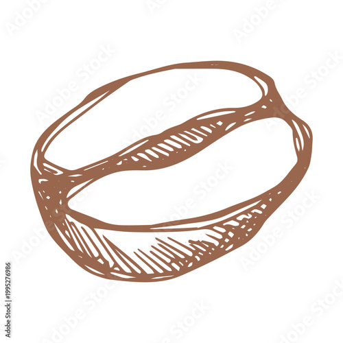 Hand drawn fresh roasted coffee bean Arabica robusta seed doodle Single element for print, web, design, decor