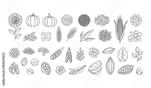 Botanical Seeds and Grains Thin Line Icon Collection Vector Natural Seed Illustration Set