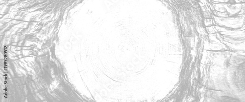 Close up of grey wood grain texture with circular growth rings and rough bark patterns