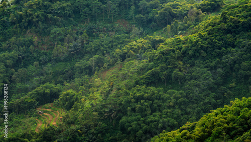 Aerial view of green jungle hills with small terraced agriculture, dense tropical vegetation and peaceful countryside scenery showcasing natural ecosystem and sustainable farming