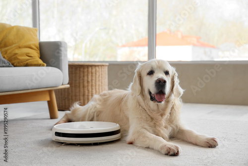 Cute Labrador Retriever dog...