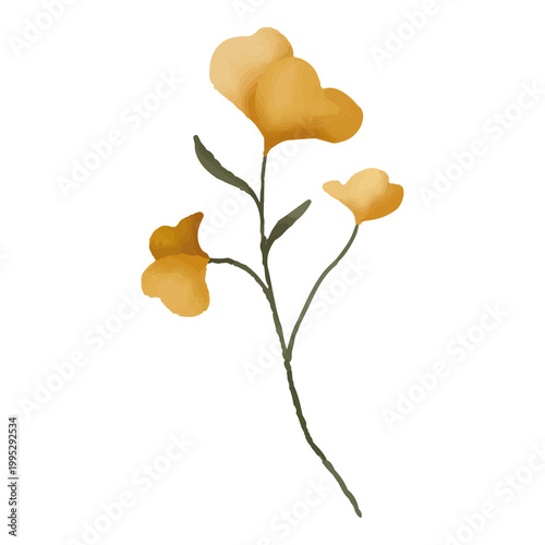 yellow flower isolated on white background