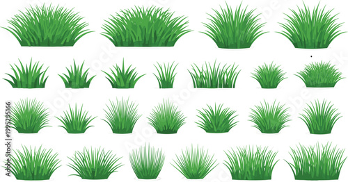 Green Grass Bush and Tuft Set with Various Shapes for Nature Landscaping Garden Environment Design and Eco Friendly Outdoor Background Vector Illustration Elements