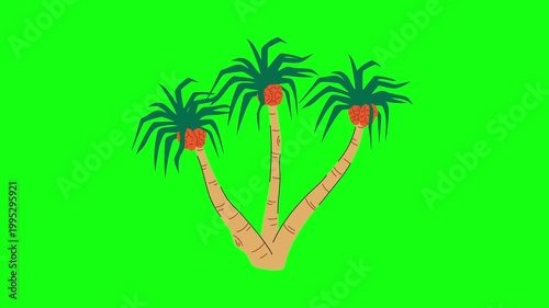 flowers and leaves, background, green screen, animation