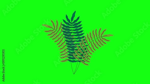 flowers and leaves, background, green screen, animation