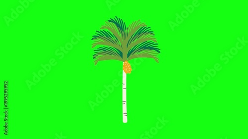 flowers and leaves, background, green screen, animation