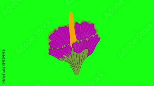 flowers and leaves, background, green screen, animation