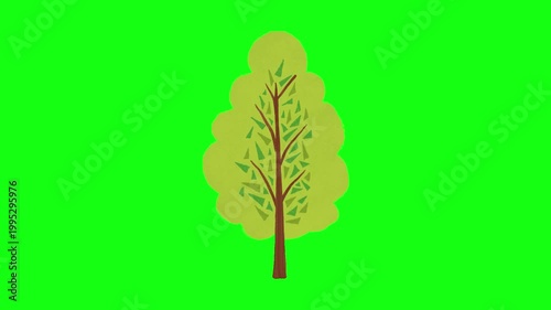 flowers and leaves, background, green screen, animation