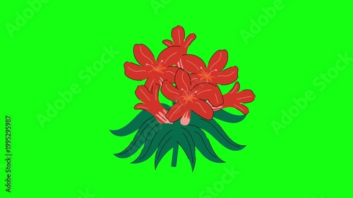 flowers and leaves, background, green screen, animation