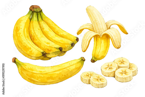 Set of banana fruits whole, peeled and sliced in watercolor style. Bunch of fresh tasty ripe yellow bananas isolated on transparent background. Tropical food