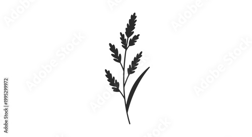Simple Black Silhouette of Wheat Plant.