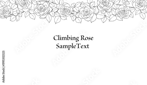 手描きのバラの花の線画フレームイラスト