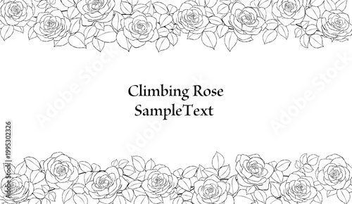 手描きのバラの花の線画フレームイラスト