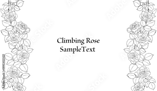 手描きのバラの花の線画縦型のフレームイラスト
