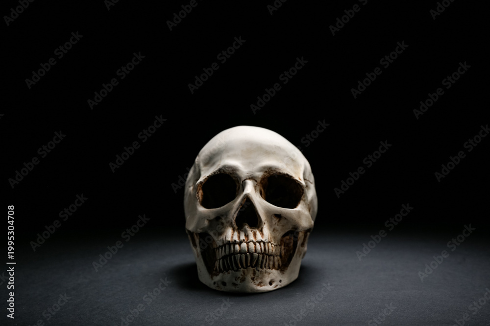 Fototapeta premium Human skull on dark background