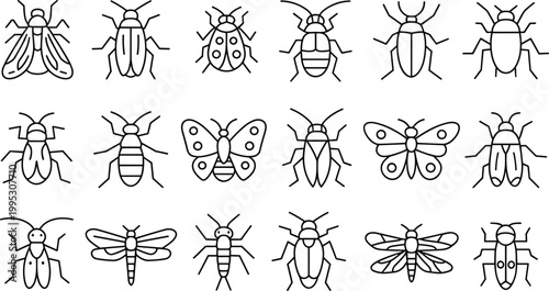 Flat insect icon collection, diverse beetle butterfly bug line illustrations on white background