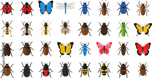 Flat Colorful Insect Collection Ladybug Butterfly Beetle Bee Dragonfly Wasp and Fly Vector Illustration Set for Nature Design