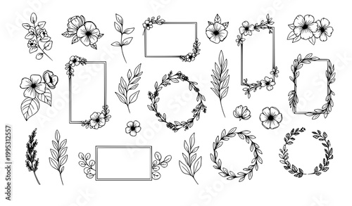 Hand drawn floral elements vector set with flowers leaves herbs and decorative frames in botanical line style