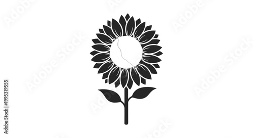 Black and White Sunflower Illustration.