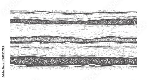 Black and white horizontal layers of textured rock strata abstract pattern