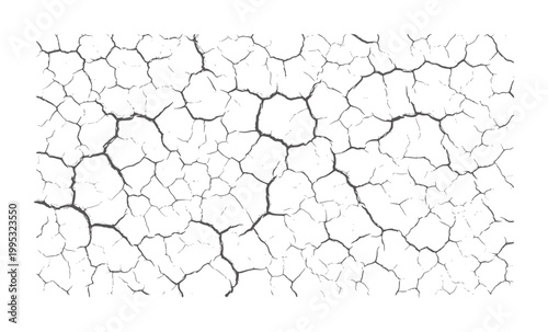 Black cracked earth texture white pattern