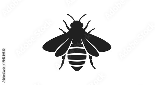 Photos Black Silhouette of a Bee.