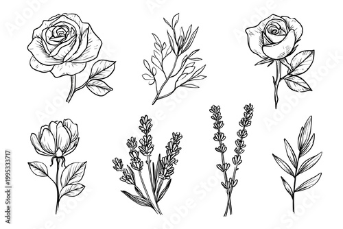 Ensemble d'illustrations botaniques dessinées à la main avec des roses, de la lavande et du feuillage élégant sur fond blanc pour design créatif.
