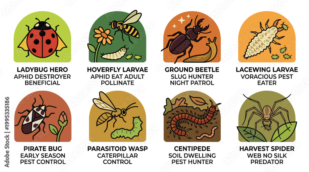 Fototapeta premium Vector illustration of beneficial garden insects and bugs for natural pest control infographic