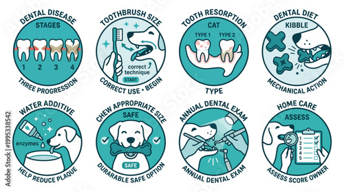 Veterinary pet dental health care icons set infographic for dog and cat tooth hygiene