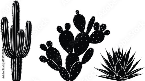 Black Cactus Silhouettes on White Background
