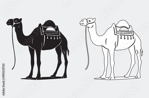 camels in the desert