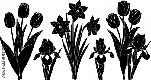 Vector black silhouettes of spring flowers (tulips, narcissus and iris) isolated on a white background.
