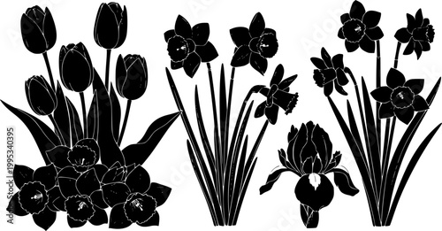 Vector black silhouettes of spring flowers (tulips, narcissus and iris) isolated on a white background.
