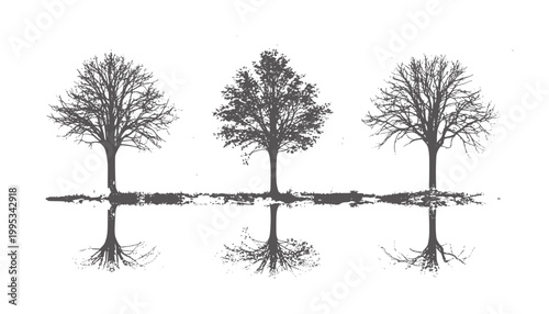 Three dark gray trees with visible roots reflected in water white reflection