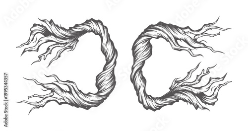 Two twisted gnarled branches forming abstract shapes with wispy ends wood