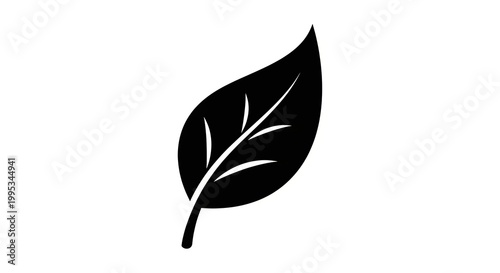 minimalist black leaf icon on white background for design and nature themes