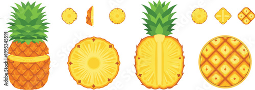 Fresh Pineapple Vector Set with Whole Fruit, Slices, Halves, Cross Sections and Seamless Pattern Illustration for Tropical Food Design Projects