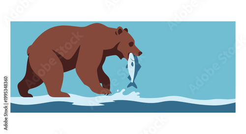 A brown bear walking through water with a freshly caught fish in its mouth, depicted in a flat illustration style.