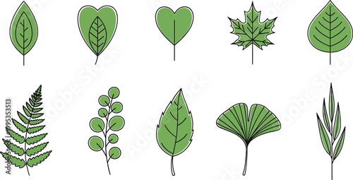 Green Leaves Set Illustration