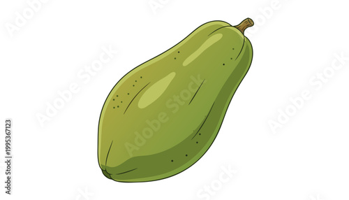 Green papaya fruit illustration vector isolated on white background
